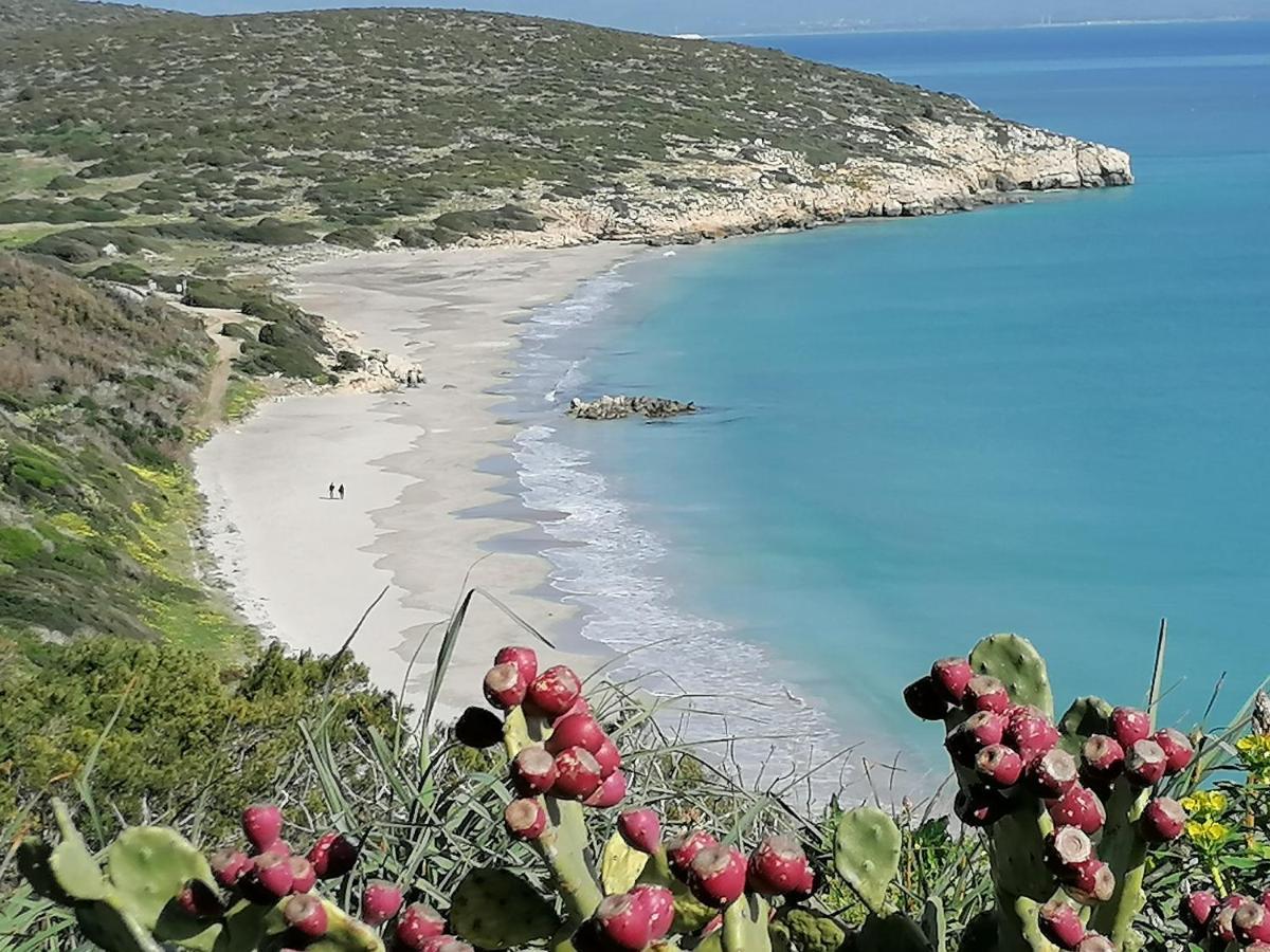 Il Lentischio Hotel Cala Sapone Buitenkant foto