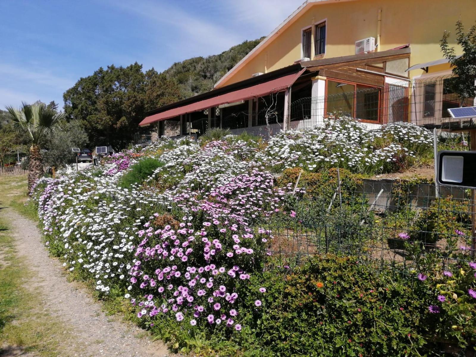 Il Lentischio Hotel Cala Sapone Buitenkant foto